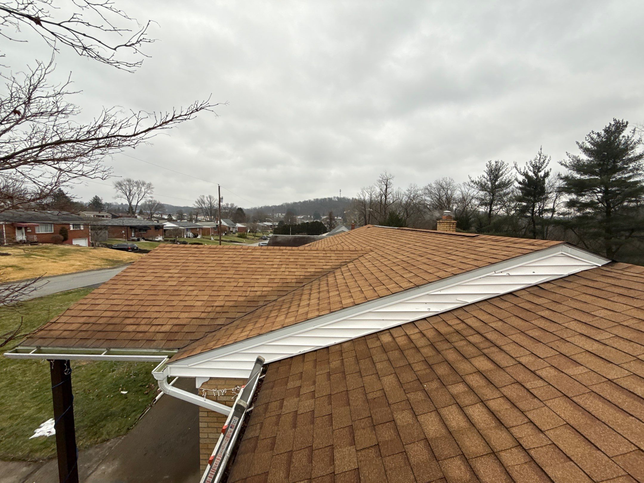 down-net_http20260128-144-u7lh8r